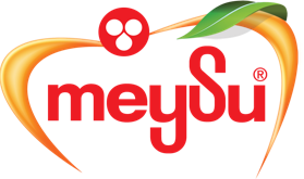 meysu-logo